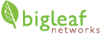 BIGLEAF fiber at